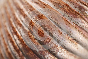 metallic wallpaper.Ribbed metal rusty surface.Ribbed shiny surface.Shabby metal background with traces of rust