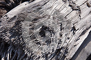 Metallic wooden texture