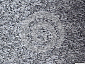 Metallurgical sample of titanium