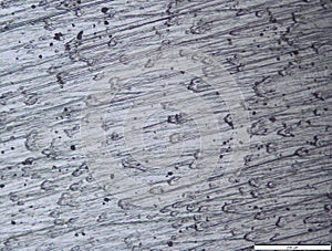 Metallurgical sample of titanium