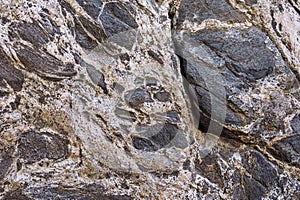 Metamorphic Gneiss rock background with texture and black and white layers