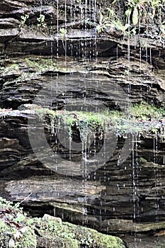 Metamorphic gray rock with trickling water and moss II