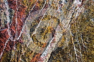 Metamorphic quartzite rock with pattern