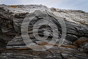 Metamorphic Rock Close Up