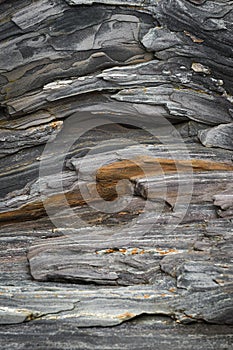 Metamorphic Rock Details photo