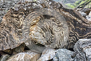 Metamorphic rock with a layered texture photo