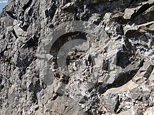 Metamorphic rock with quartz veins photo