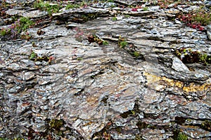 Metamorphic Slate Rock