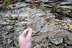 Metamorphic Slate Rock