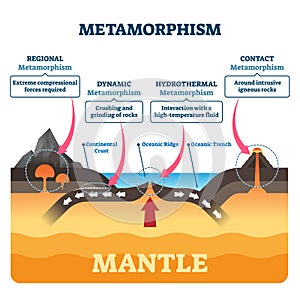 Metamorphism vector illustration. Labeled mineral geologic structure change