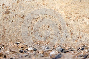 Metamorphized iron on ground and ash photo