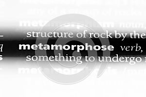 metamorphose