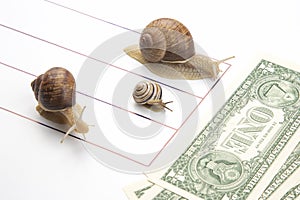 Metaphor for achieving financial success in business. snails run on a running track for wealth. perseverance in work and time to