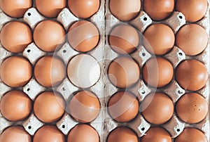 Metaphor for being different or outsider: Brown eggs and one white egg in a basket