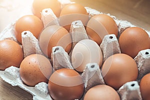 Metaphor for being different or outsider: Brown eggs and one white egg in a basket