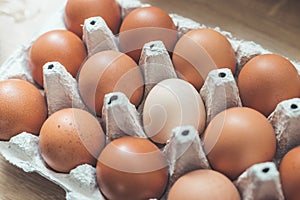 Metaphor for being different or outsider: Brown eggs and one white egg in a basket