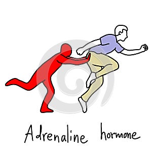 Metaphor function of adrenaline hormone is to make human body ru photo