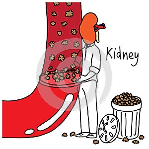 Metaphor function of human kidney to filter wastes and excess fl