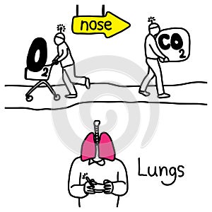 Metaphor function of lungs to exchange Carbon dioxide and Oxygen