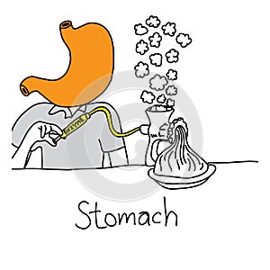 Metaphor function of stomach to secrete acid and enzymes that di photo