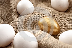 Metaphors for successful leadership and retirement investment concept with white eggs and one single gold egg on burlap sack photo