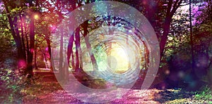 Metaphysical Energy Portal in Beautiful Ethereal Woodland Copse
