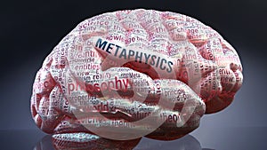 Metaphysics and a human brain