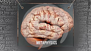 Metaphysics in human brain