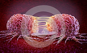 Metastasis Cancer Cell photo