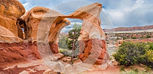 Metate Arch