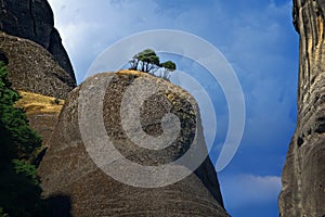 Meteora near Kalambaka, Greece - trees on the cliff