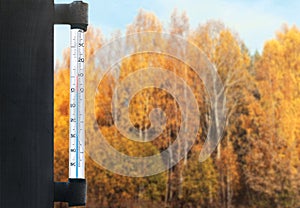 Meteorology, forecasting and autumn weather season concept - thermometer and yellow trees forest over glass window