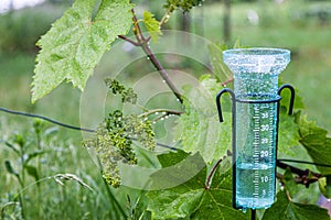 Meteorology with rain gauge in garden after the rain photo