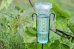 Meteorology with rain gauge in garden after the rain