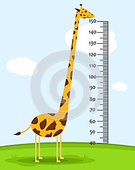 Meter wall or baby scale of growth with Giraffe on the grass. Kids height chart. scale from 40 to 150 centimeter.