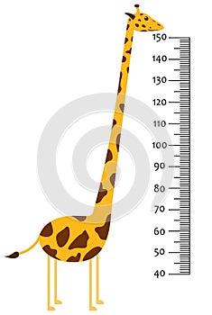 Meter wall or baby scale of growth with Giraffe. Kids height chart. scale from 40 to 150 centimeter.