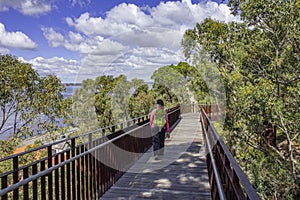 A women walks on canopy walkway of Lotterywest Federation Walkway at King`s Park and Botanical Garden in Perth, Australia.