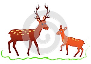 Methafore story Dad deer with descendant fawn