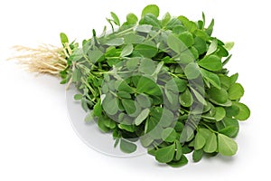 Methi, fenugreek leaves