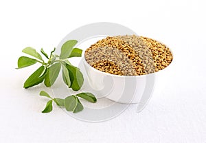 Methi or Fenugreek Seeds and Leaves