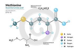 Metionina. soddisfatto5ore11non 2. di base acido. strutturalmente chimico un molecola  tridimensionale. atomi colore codifica 
