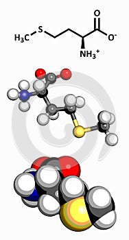 Methionine Met, M amino acid molecule.