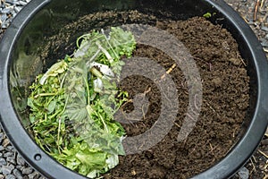 Method to feeding earthworms