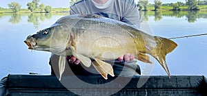 Methodfeeder angler, holding a carp