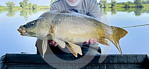 Methodfeeder angler, holding a carp photo