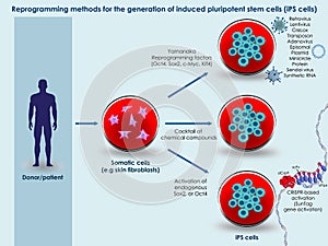 Methods for generation of induced pluripotent stem cells