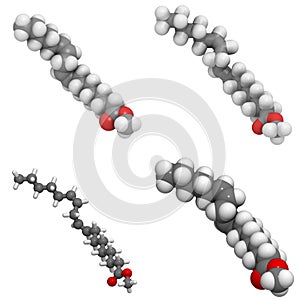 Methyl lineolate (biodiesel) molecule photo