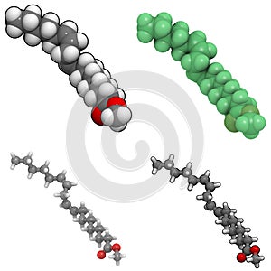 Methyl lineolate (biodiesel) molecule photo