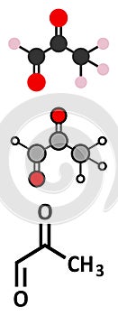 Methylglyoxal (pyruvaldehyde) molecule. Produced by glycolysis; is cytotoxic