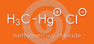 Methylmercury chloride environmental pollutant, chemical structure. Skeletal formula.